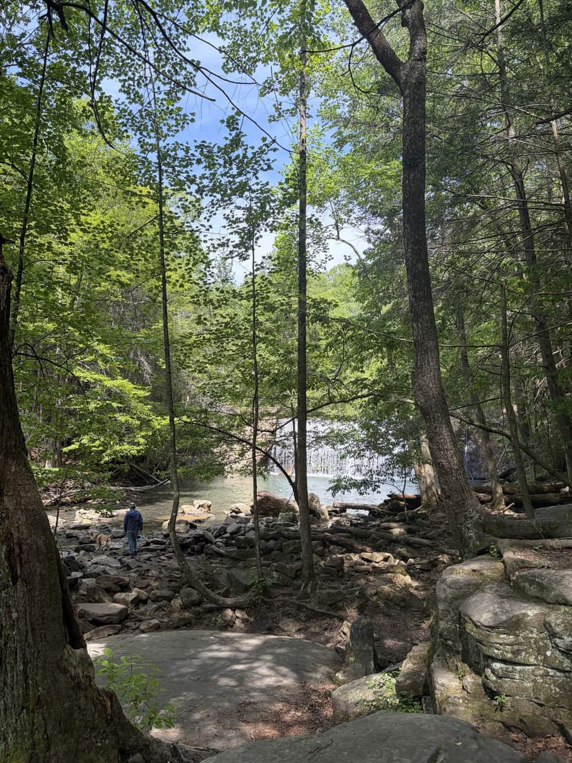 accidentally romanticizing a random trip